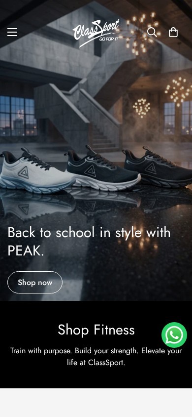 ClassSport website – mobile screenshot