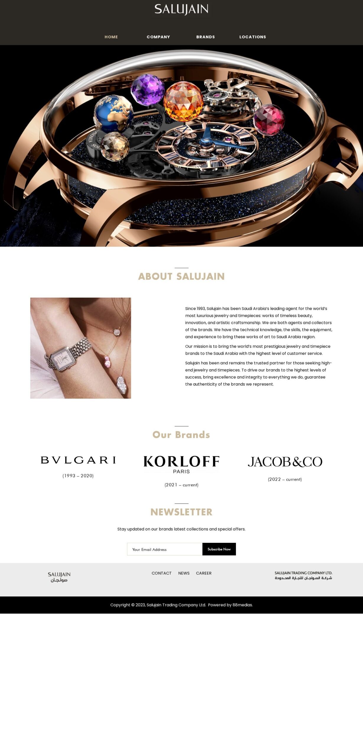 Salujain website – desktop screenshot