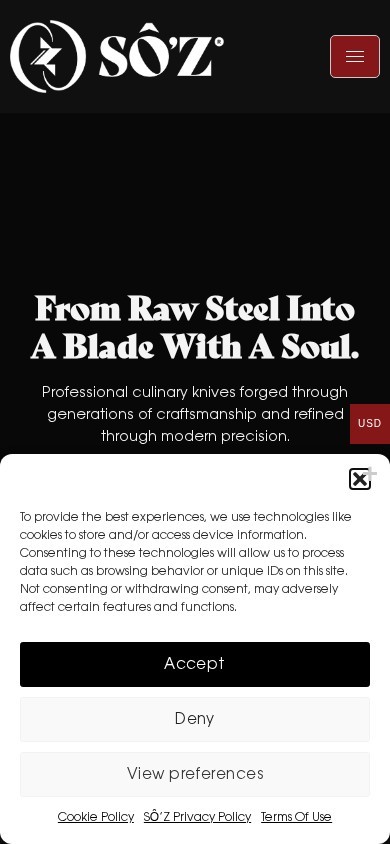 SOZ International website – mobile screenshot
